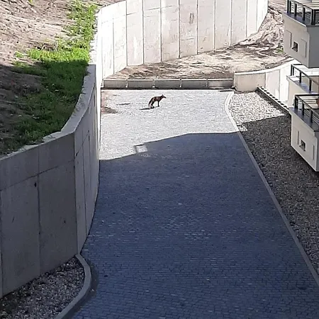 Silesia דירה Świnoujście