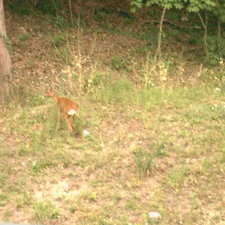 Silesia דירה Świnoujście