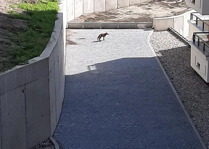 Silesia Lejlighed Świnoujście (Swinemünde)