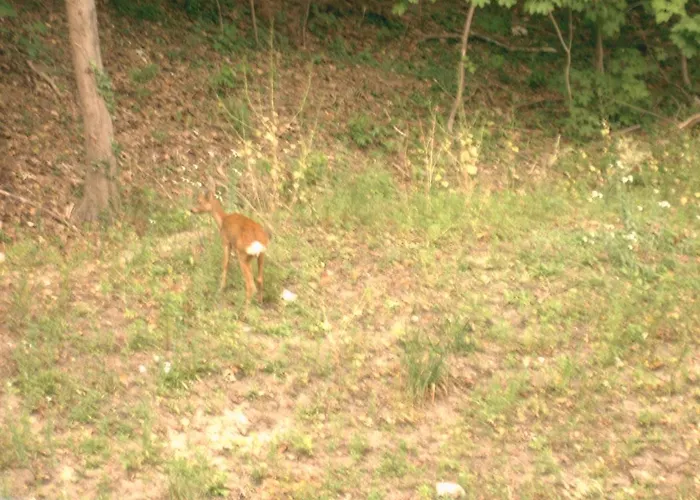 Silesia Lejlighed Świnoujście (Swinemünde)